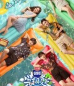 完美的夏天            (2020)