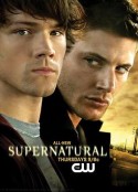 邪恶力量 第一季 Supernatural Season 1            (2005)