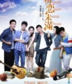 初恋未满            (2013)