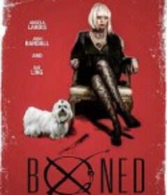 好莱坞狗日子 Boned            (2016)