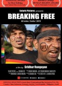 呐喊吧！自由！ Breaking Free            (2015)