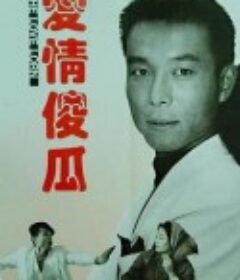 爱情傻瓜            (1993)