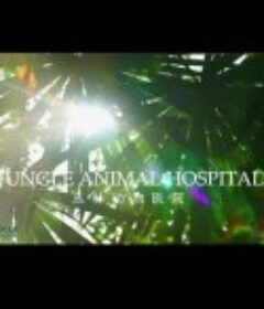 BBC自然世界 丛林动物医院 Jungle Animal Hospital            (2016)