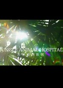 BBC自然世界 丛林动物医院 Jungle Animal Hospital            (2016)