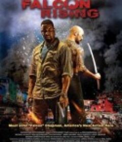 猎鹰突起 Falcon Rising            (2014)
