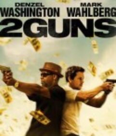 双龙出手 2 Guns            (2013)