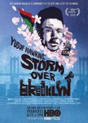 布鲁克林风暴 Yusuf Hawkins: Storm Over Brooklyn            (2020)