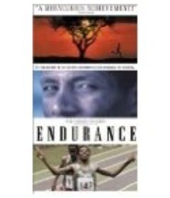 耐力 Endurance            (1999)