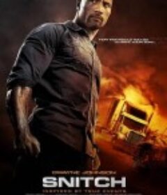 告密者 Snitch            (2013)
