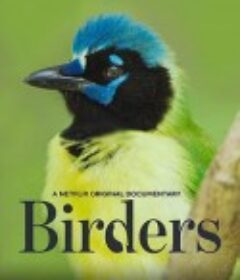 观鸟者 Birders            (2019)