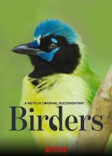 观鸟者 Birders            (2019)