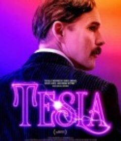 特斯拉 Tesla            (2020)