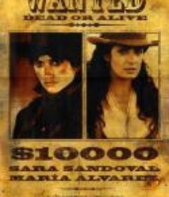 侠盗魅影 Bandidas            (2006)