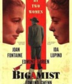 重婚者 The Bigamist            (1953)