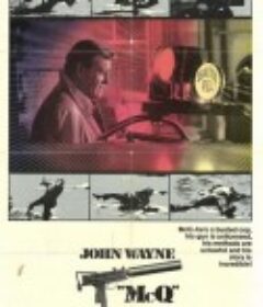 盗毒 McQ            (1974)
