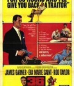 三十六小时谍报战 36 Hours            (1965)