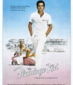 冲击 The Flamingo Kid            (1984)