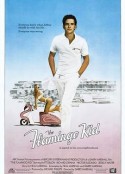 冲击 The Flamingo Kid            (1984)