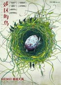 郊区的鸟            (2018)