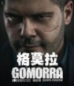 格莫拉 第四季 Gomorra: La serie Season 4            (2019)