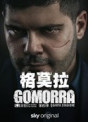 格莫拉 第四季 Gomorra: La serie Season 4            (2019)