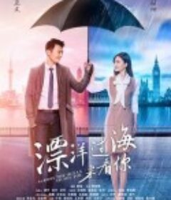 漂洋过海来看你            (2017)