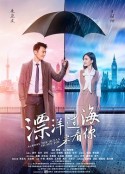漂洋过海来看你            (2017)