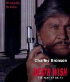 猛龙怪客5：死神现身 Death Wish V: The Face of Death            (1994)