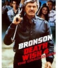 猛龙怪客4：镇压 Death Wish 4: The Crackdown            (1987)