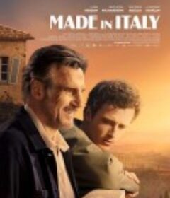 意大利制造 Made in Italy            (2020)