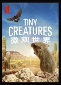 微观世界 Tiny Creatures            (2020)