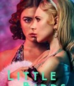 小鸟们 Little Birds            (2020)