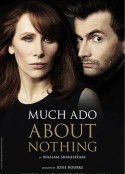 无事生非 (2011年伦敦Wyndham剧院版) Much Ado About Nothing            (2011)