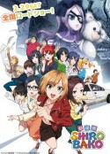 白箱剧场版 劇場版 SHIROBAKO            (2020)
