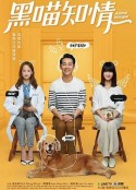 黑喵知情            (2020)