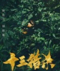 十三猎杀            (2020)