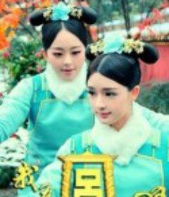 我为宫狂            (2013)