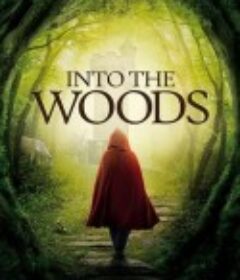 拜访森林 Into the Woods            (1991)