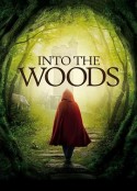 拜访森林 Into the Woods            (1991)