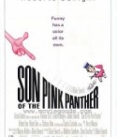 顽皮警察 Son of the Pink Panther            (1993)