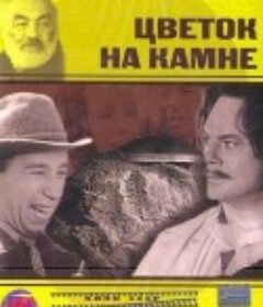 石头上的花 Цветок на камне            (1962)