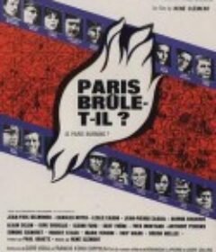 巴黎战火 Paris brûle-t-il?            (1966)