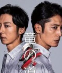 龙道 双面复仇者 竜の道 二つの顔の復讐者            (2020)