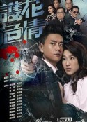 护花危情 護花危情            (2012)