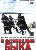 公牛星座 В созвездии быка            (2003)