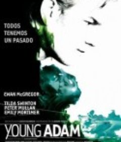 年轻的亚当 Young Adam            (2003)
