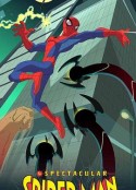 神奇蜘蛛侠 第一季 The Spectacular Spider-Man Season 1            (2008)