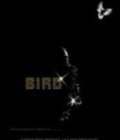 爵士乐手 Bird            (1988)