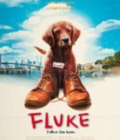 再世人狗缘 Fluke            (1995)