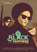 黑豹党：革命先锋 The Black Panthers: Vanguard of the Revolution            (2015)